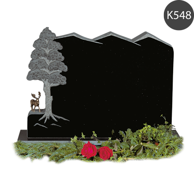 K548