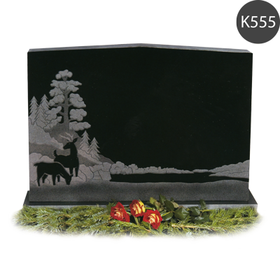 K555